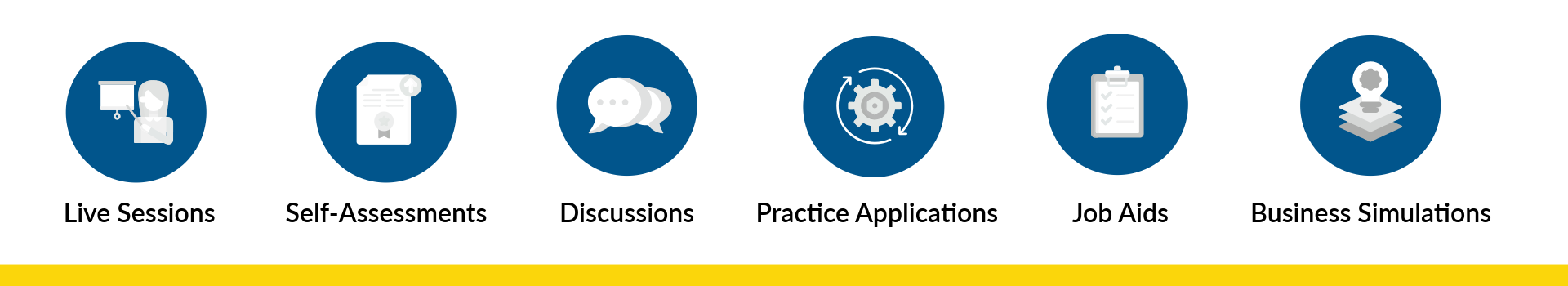 Live Sessions, Self-Assessments, Discussions, Practice Applications, Job Aids, Business Simulation